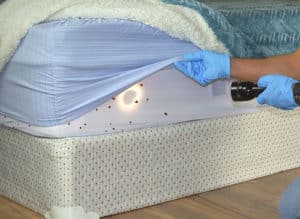 Inspect Bed For Bed Bugs